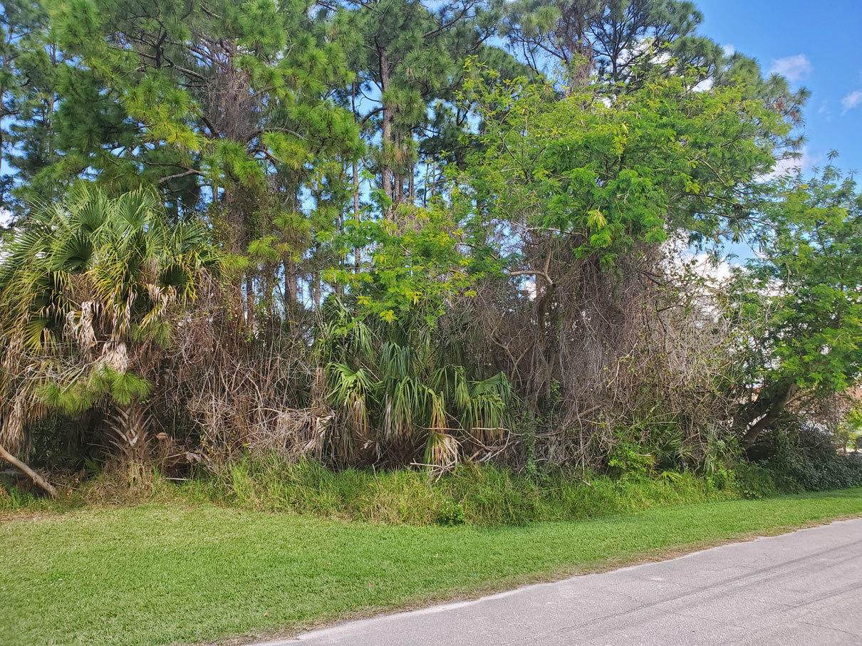 2217 Crocus Lane - Photo 1