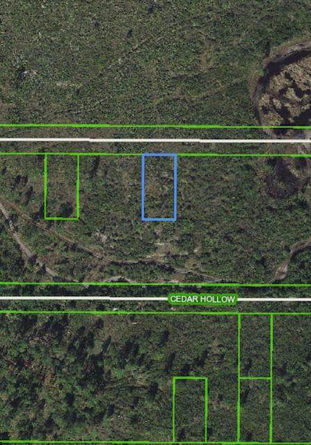 1111 Buckeye Street - Photo 1
