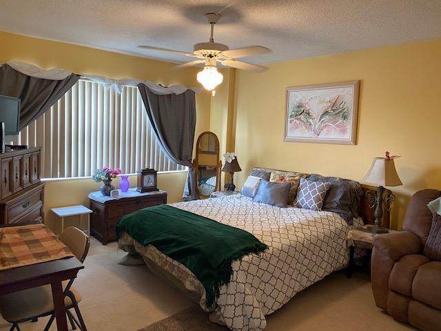 3465 Via Poinciana - Photo 1 3465 Via Poinciana - Photo 1