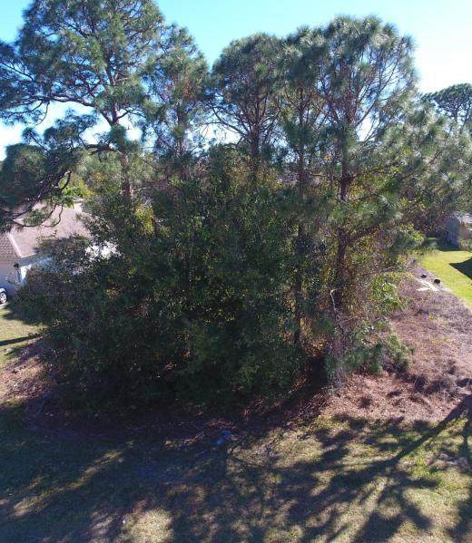 1310 Paar Drive - Photo 1 1310 Paar Drive - Photo 1