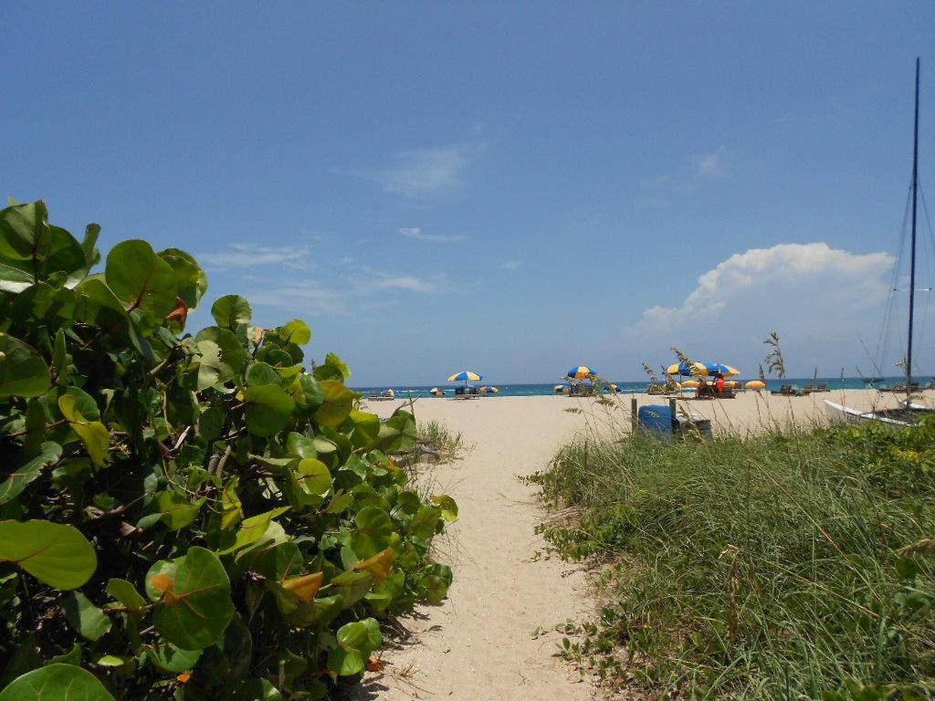 2800 Ocean Drive - Photo 1 2800 Ocean Drive - Photo 1