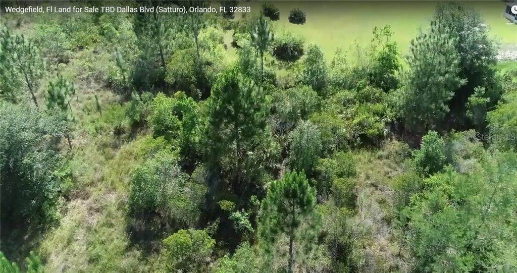 110 Dallas Boulevard - Photo 1 110 Dallas Boulevard - Photo 1