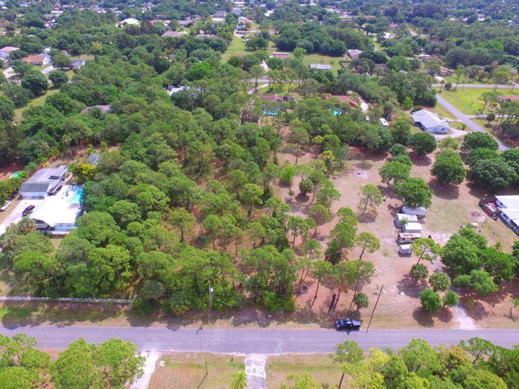 0 Pine Tree Drive - Photo 1 0 Pine Tree Drive - Photo 1