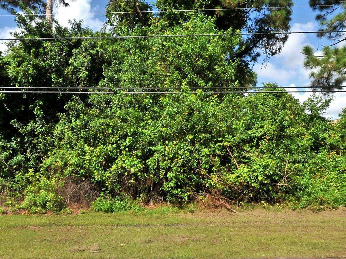 3274 Savona Boulevard - Photo 1