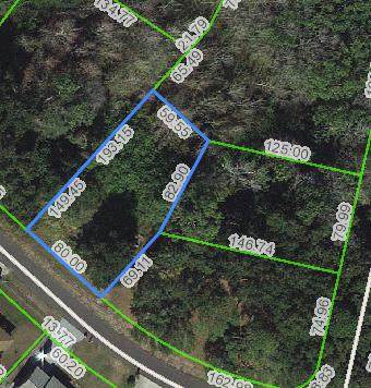 3049 Camellia Lane - Photo 1