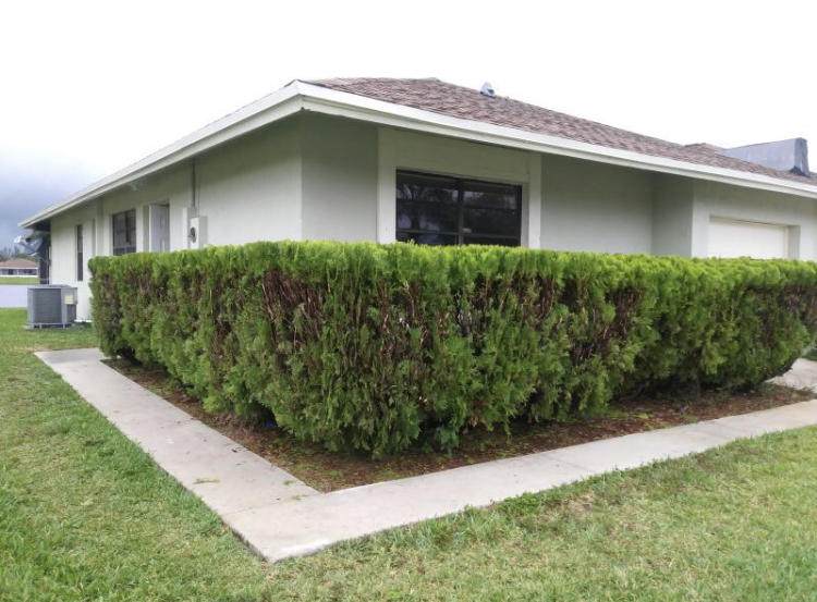 4827 Paulie Court - Photo 1 4827 Paulie Court - Photo 1