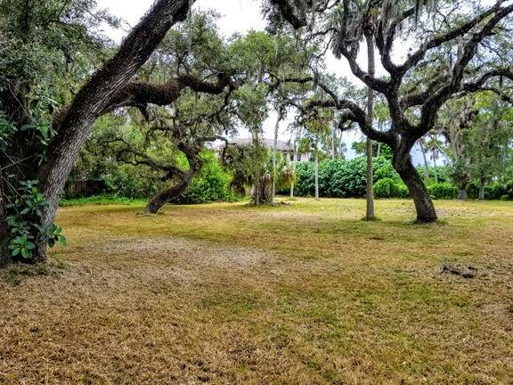 618 Lantana Lane - Photo 1
