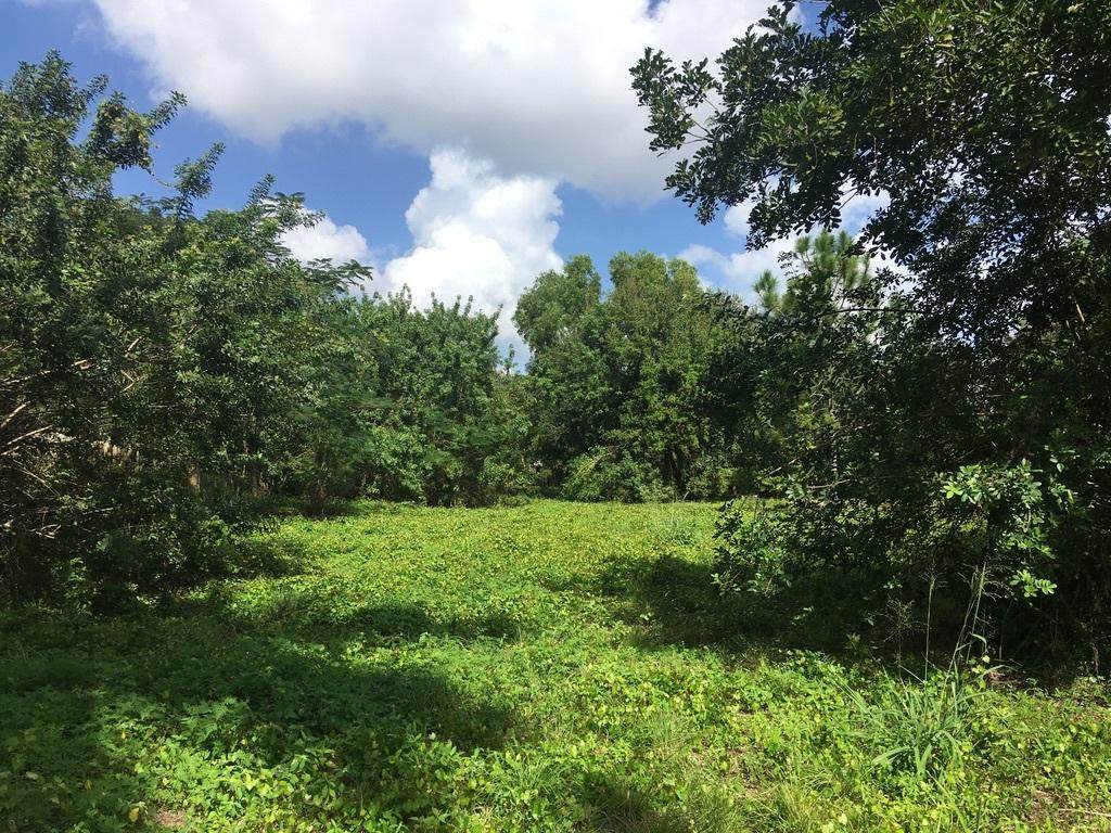Xxx 71st Avenue - Photo 1
