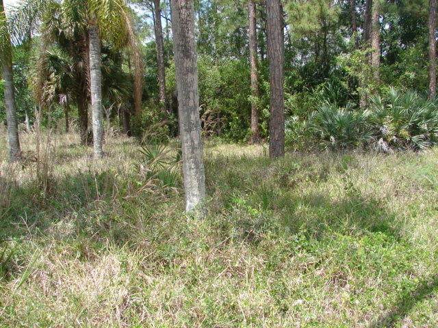 487 Horse Club Avenue - Photo 1
