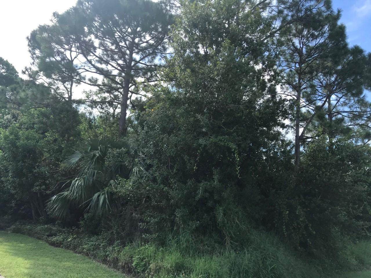 1541 Avens Street - Photo 1