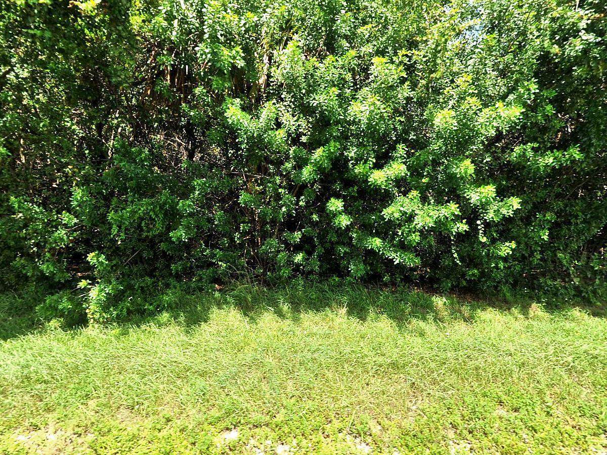 545 Inez Court - Photo 1