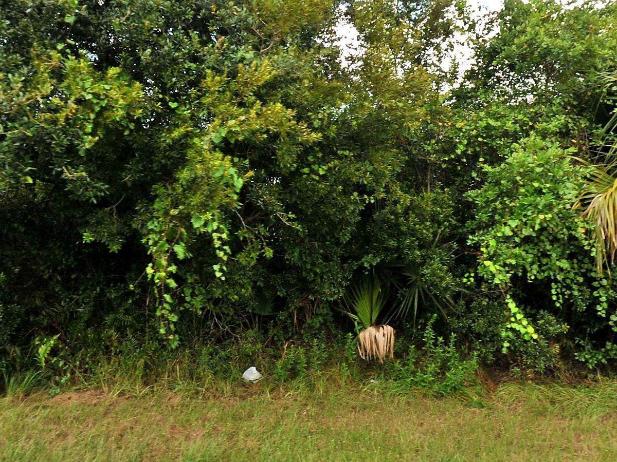 757 Sardinia Avenue - Photo 1