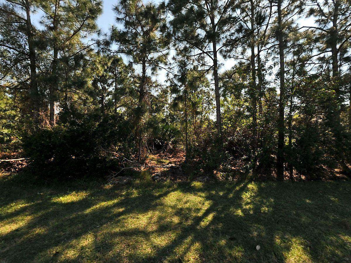 5876 Hann Drive - Photo 1