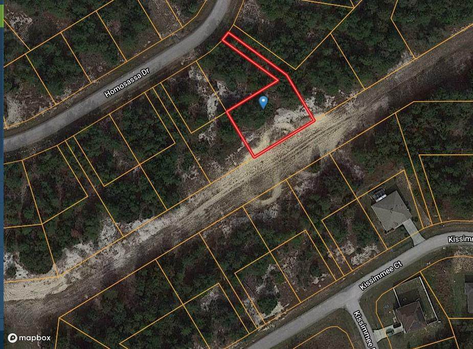 1322 Homosassa Drive - Photo 1