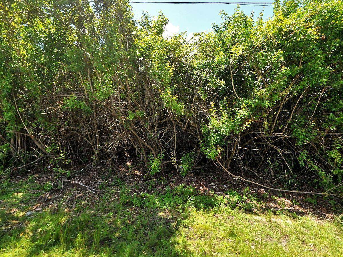 1792 Buttercup Avenue - Photo 1