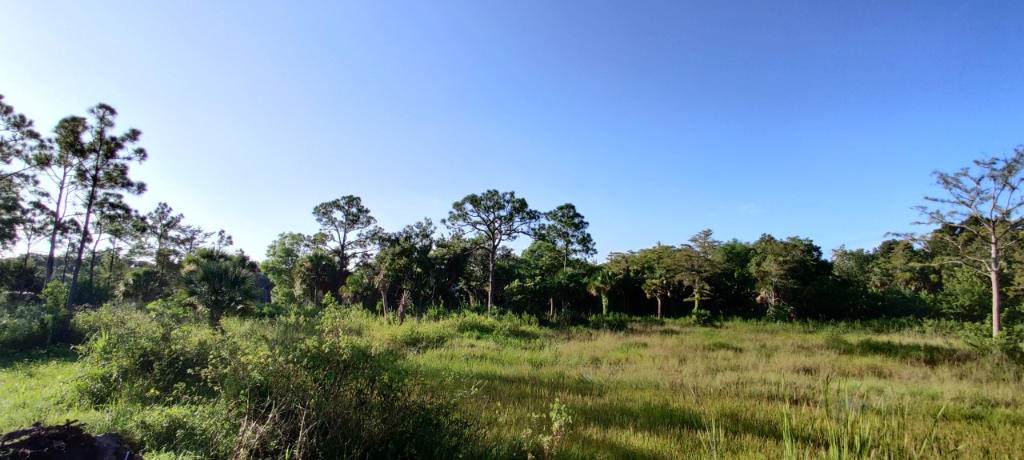 9226 Quail Trail - Photo 1