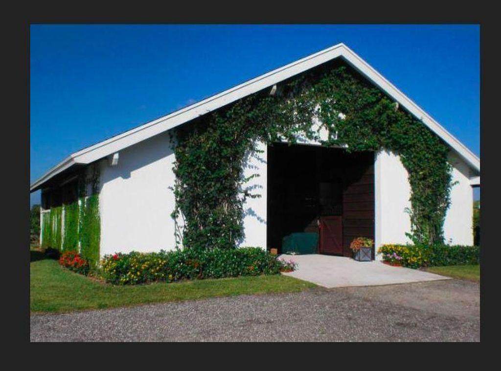 4429 Palm Breeze Trail - Photo 1