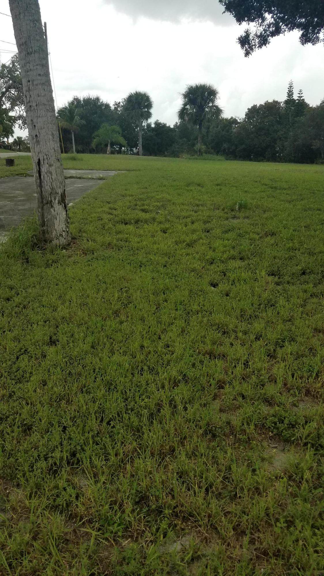 619 Rio Vista Drive - Photo 1