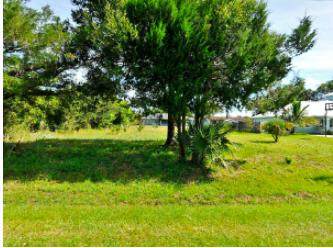 5508 Myrtle Drive - Photo 1