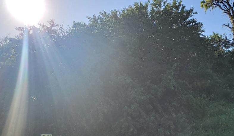 0 Sunset Boulevard - Photo 1