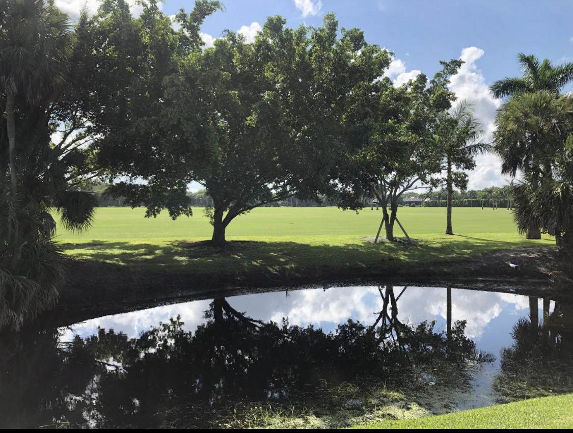 2810 Polo Island Drive - Photo 1