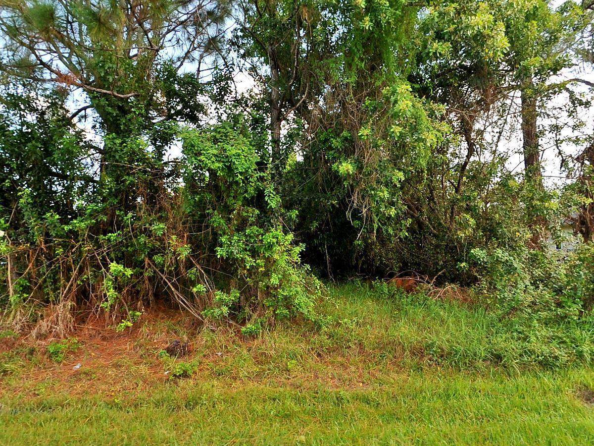 5962 Baynard Drive - Photo 1