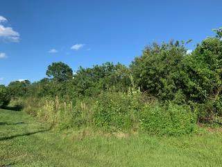 6218 Gatun Court - Photo 1