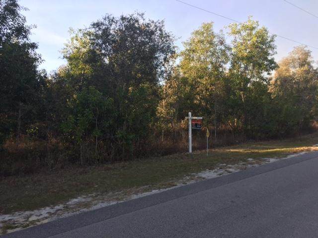 0000 King Fisher Trail - Photo 1