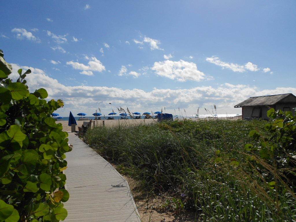 2800 Ocean Drive - Photo 1
