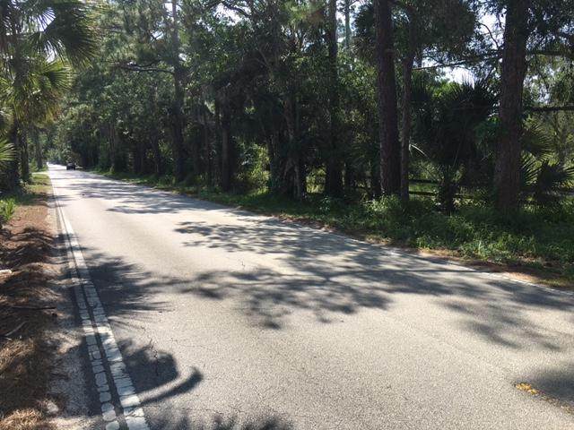 10153 Randolph Siding Road - Photo 1