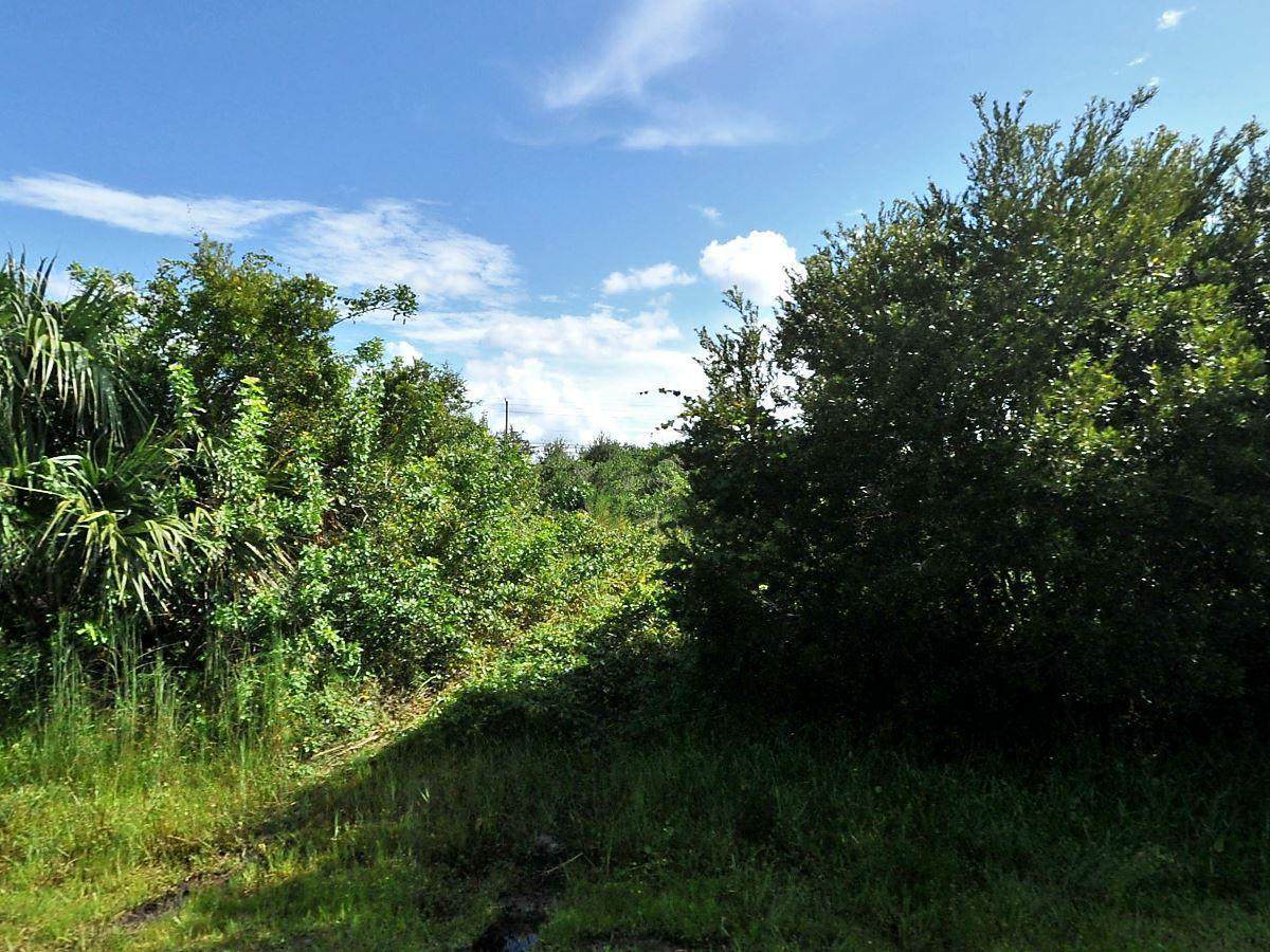 4622 Atoll Street - Photo 1
