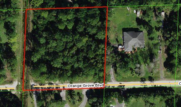 Xxxx Orange Grove Boulevard - Photo 1