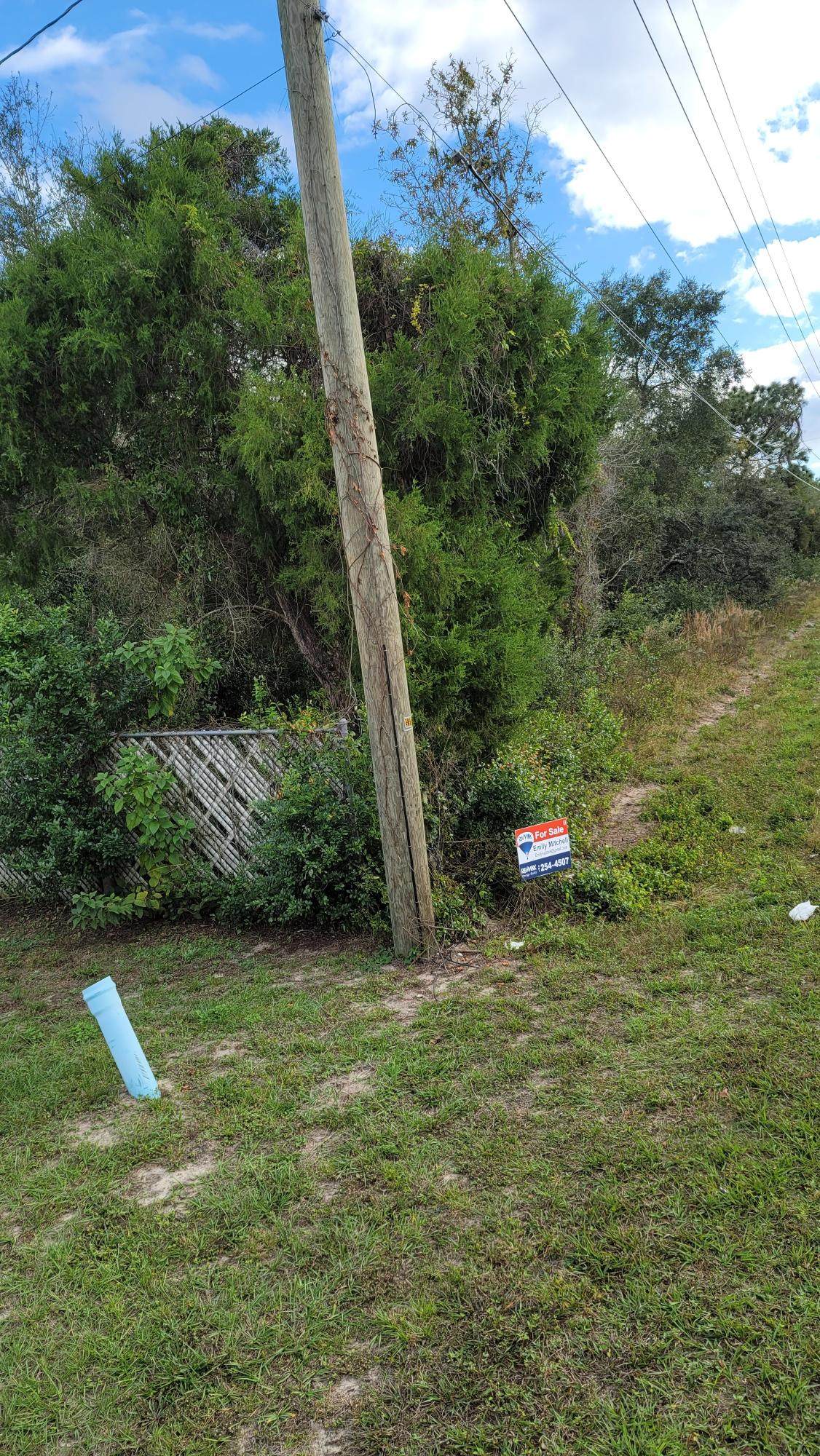 17203 Carlesimo Avenue Avenue - Photo 1