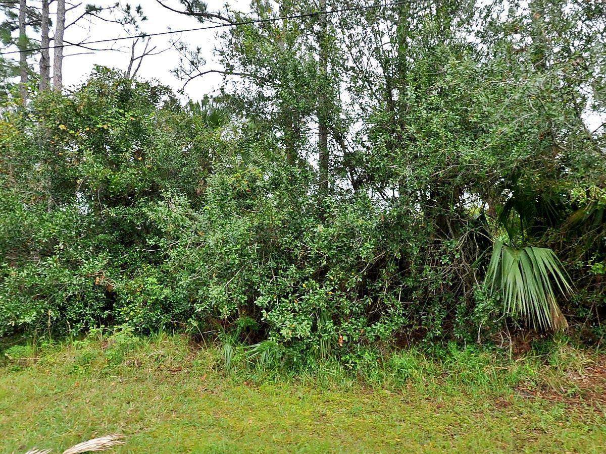 1785 Congo Street - Photo 1