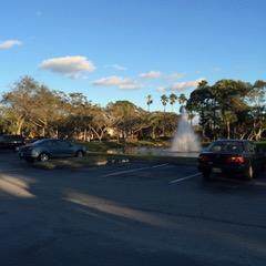 4879 Via Palm Lakes - Photo 1
