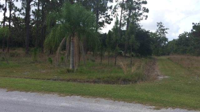 823 Pandora Drive - Photo 1