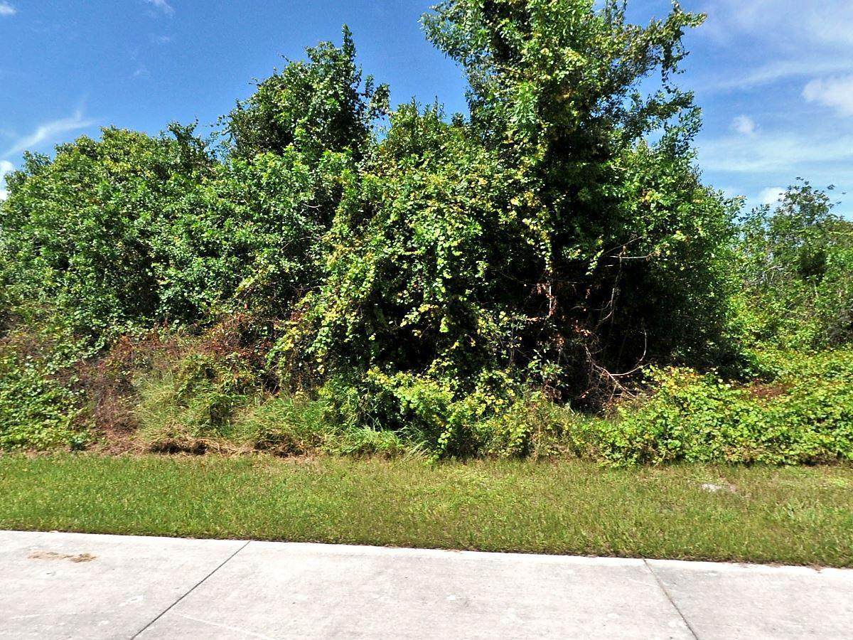 1199 Becker Road - Photo 1