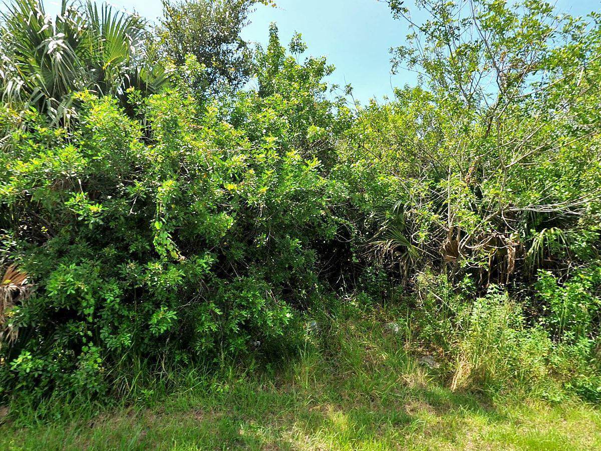 874 Becker Road - Photo 1