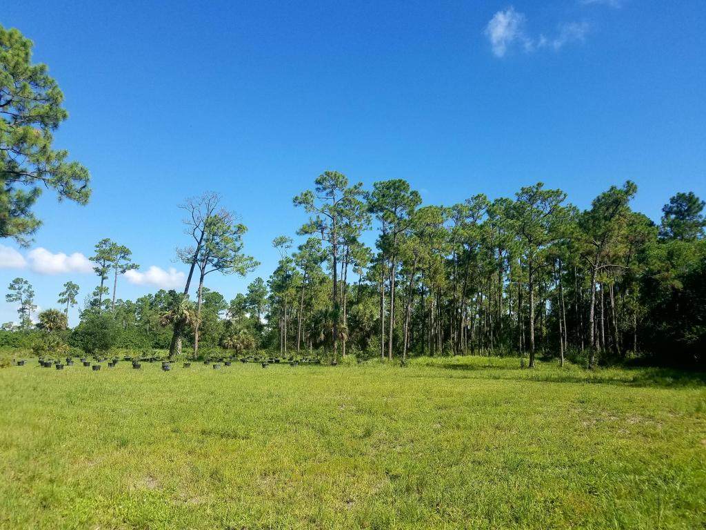 14375 Okeechobee Boulevard - Photo 1