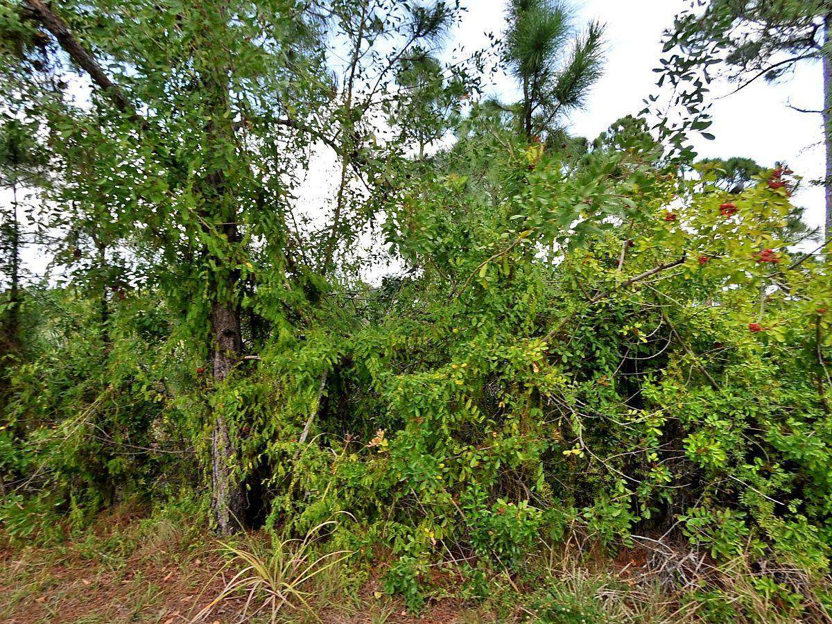 Tbd Forgotten Lane - Photo 1