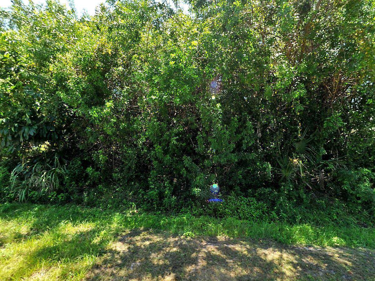 6905 Santa Clara Boulevard - Photo 1