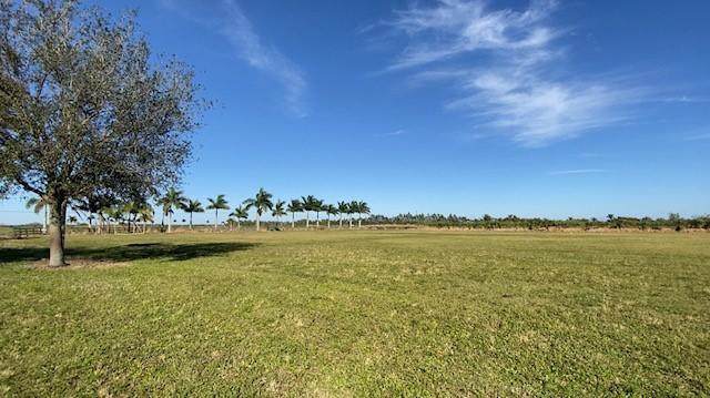 20630 Charles Green Boulevard - Photo 1