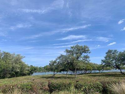 9270 Marsh Island Drive - Photo 1