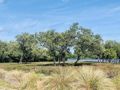9260 Marsh Island Drive - Photo 1
