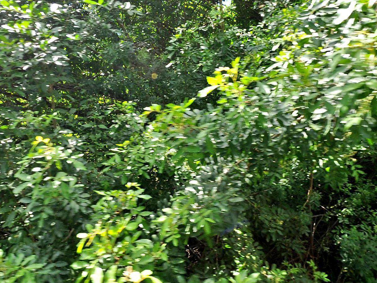 0 33rd S Street - Photo 1