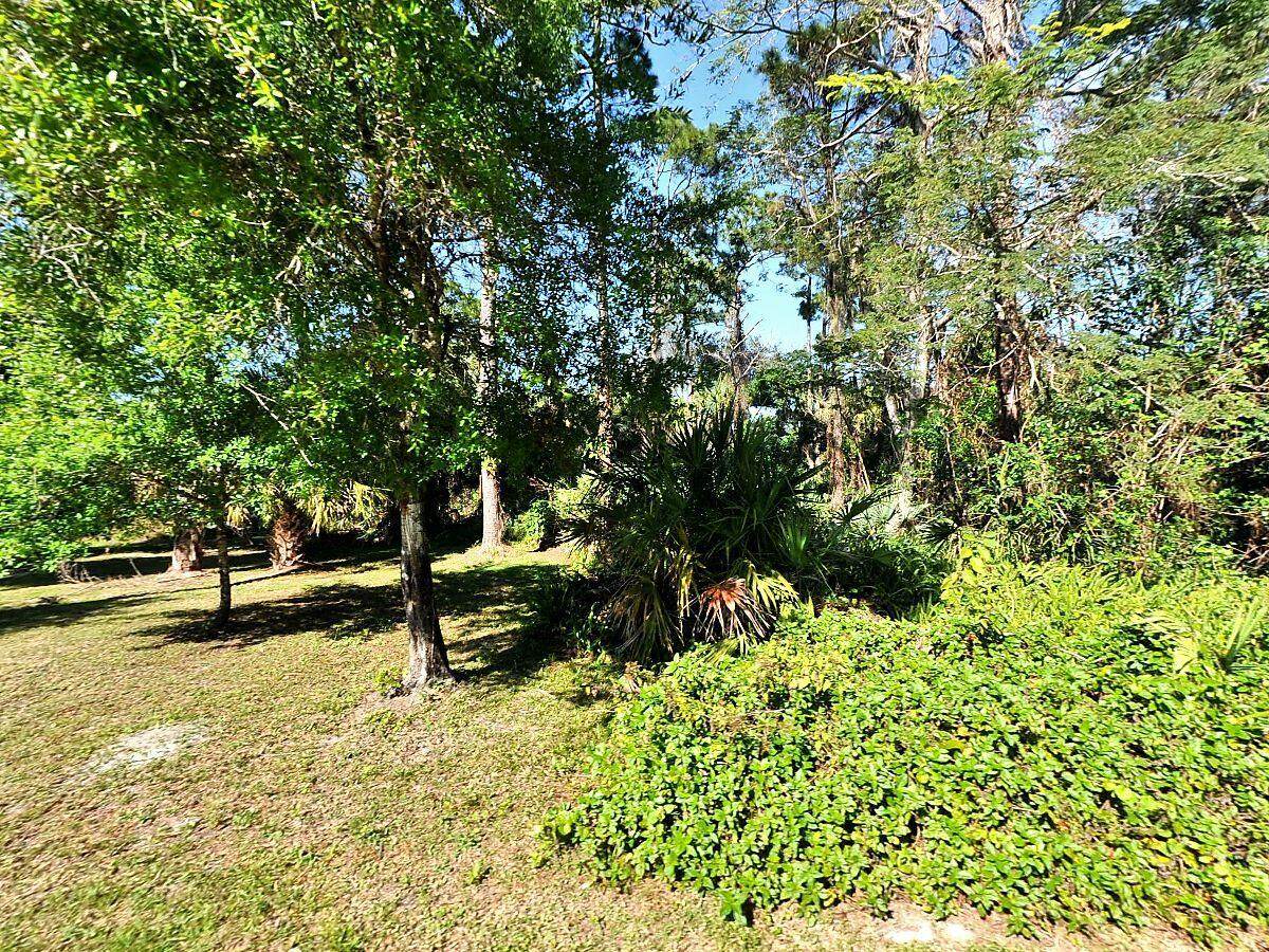 4090 Sunrise Boulevard - Photo 1