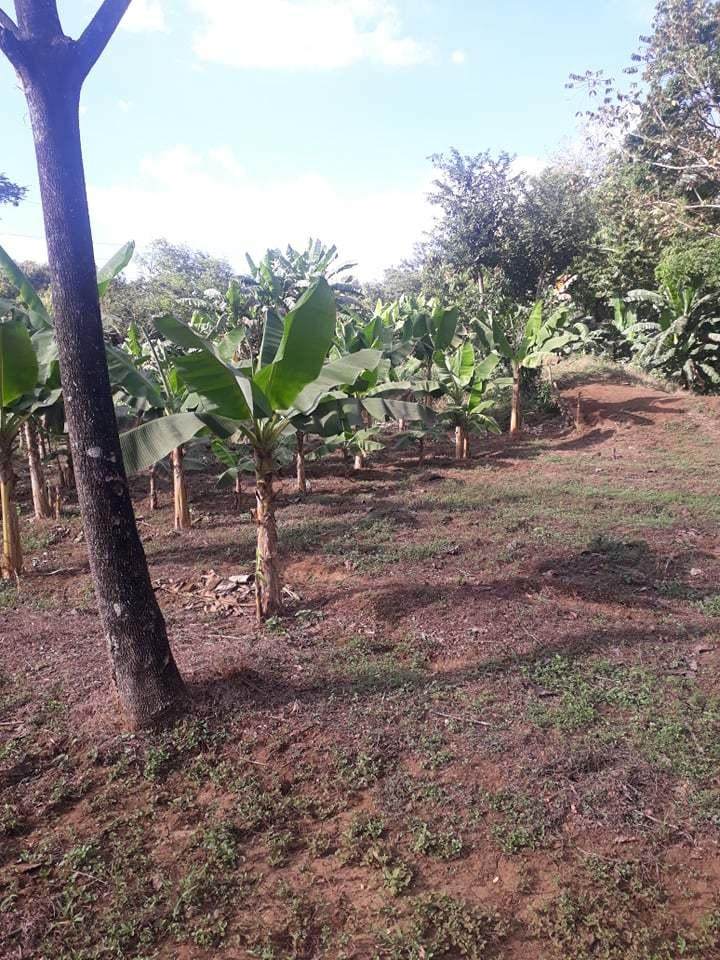 Chinandega Nicaragua - Photo 1