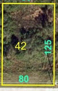 147 Becker Road - Photo 1