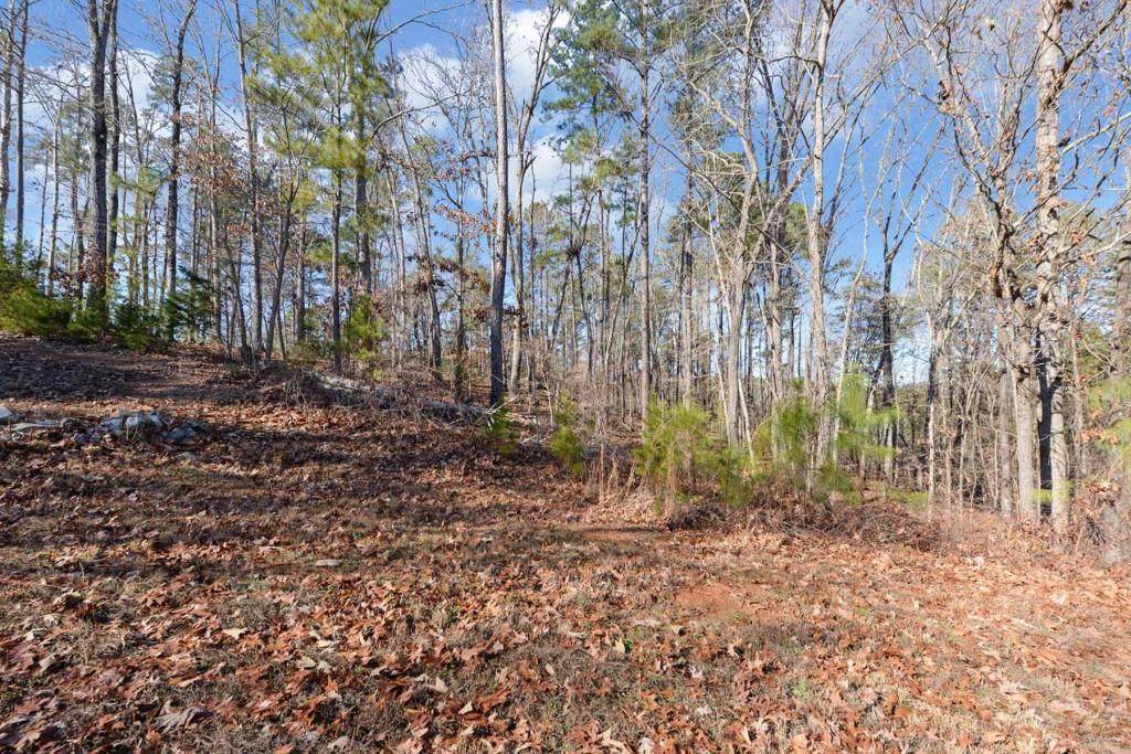 47 Lake Edge Way - Photo 1