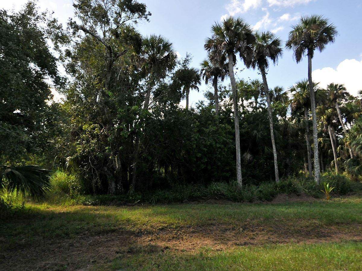 1313 White Oak Lane - Photo 1
